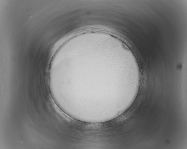 X0000114031535200911131238