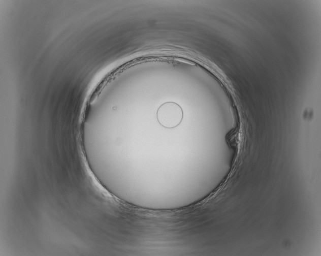 X0000114031536200911131238