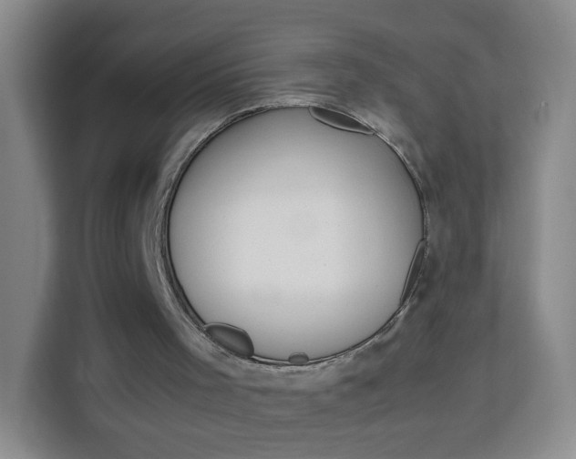 X0000114060001200910051005