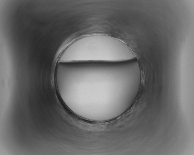 X0000114060004200910051005