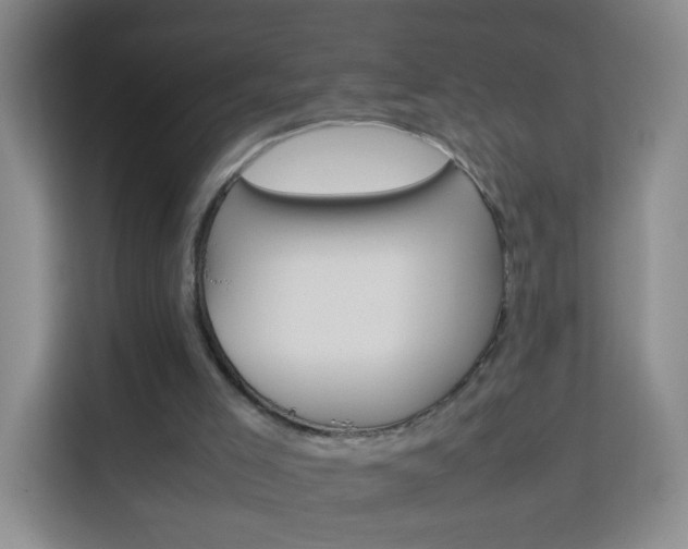X0000114060005200910051005