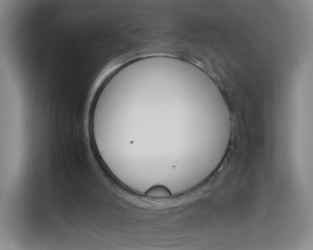 X0000114060006200910051005