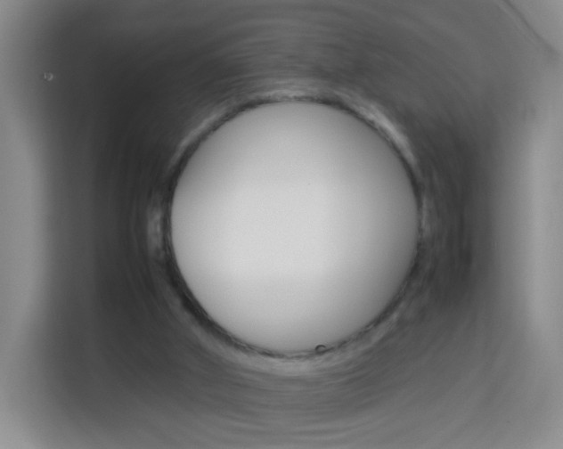 X0000114060010200910051004