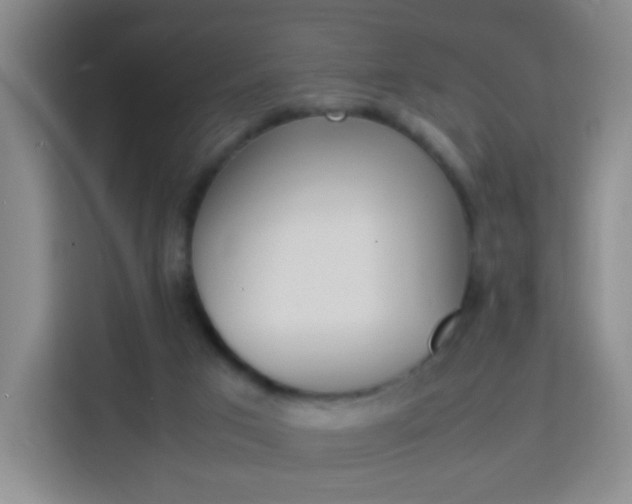 X0000114060017200910051004