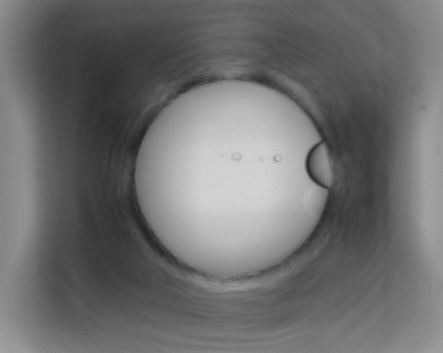 X0000114060018200910051004