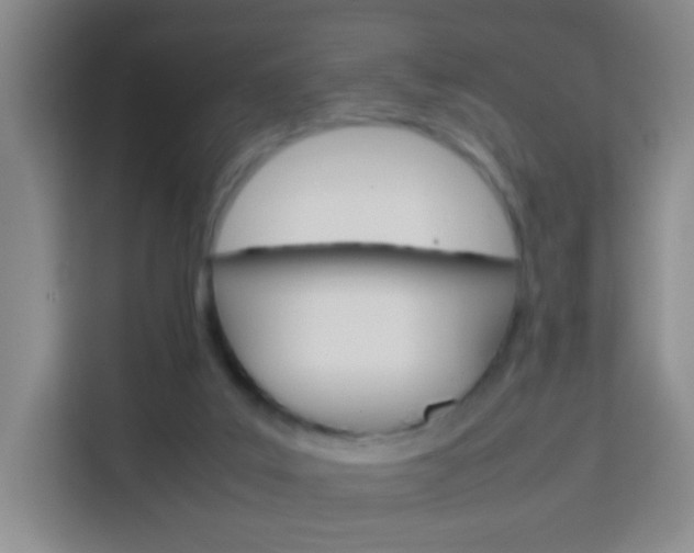 X0000114060019200910051004