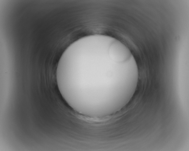 X0000114060030200910051004