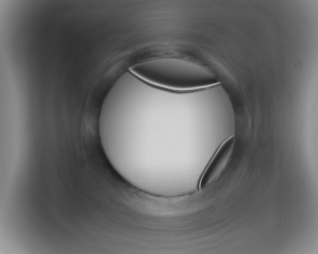 X0000114060035200910051004