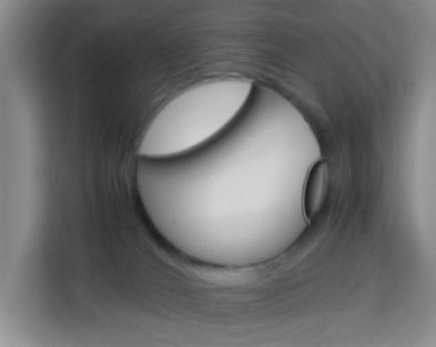 X0000114060036200910051004