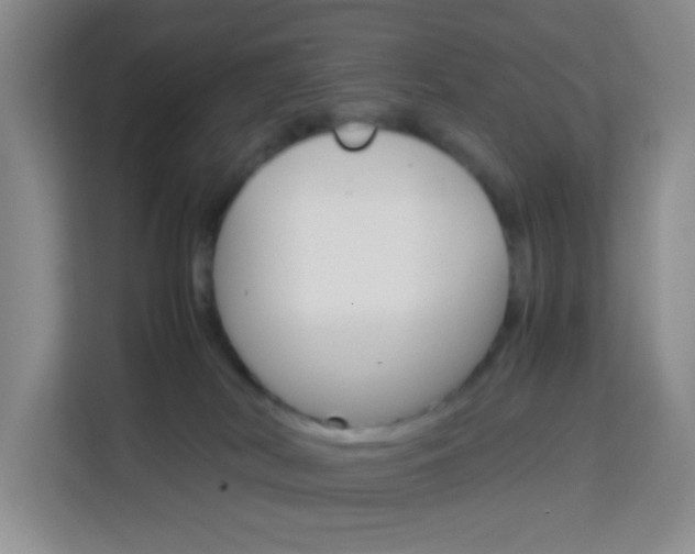 X0000114060038200910051004