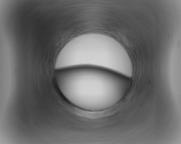 X0000114060039200910051004