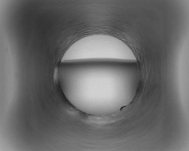 X0000114060041200910051004