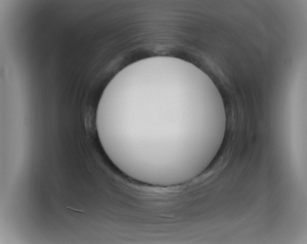 X0000114060044200910051004
