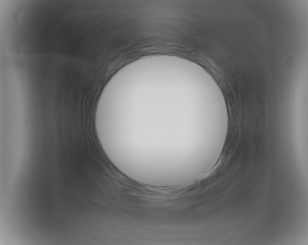 X0000114060045200910051004