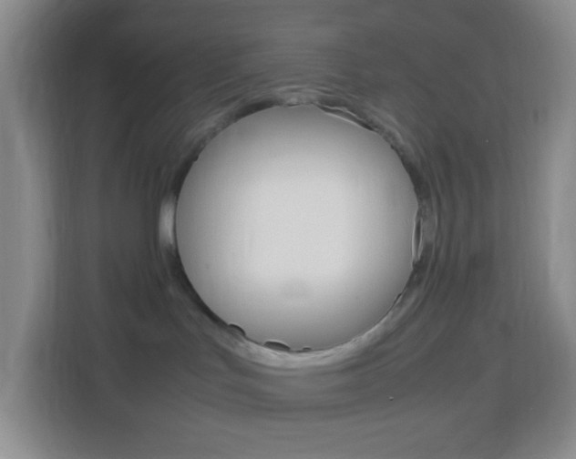 X0000114060047200910051004