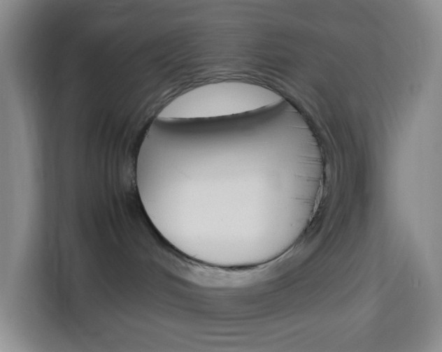 X0000114060048200910051004
