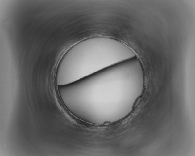 X0000114060049200910051003