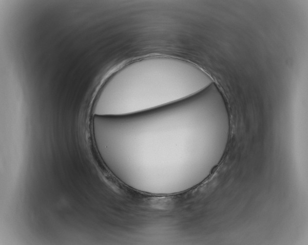 X0000114060050200910051003