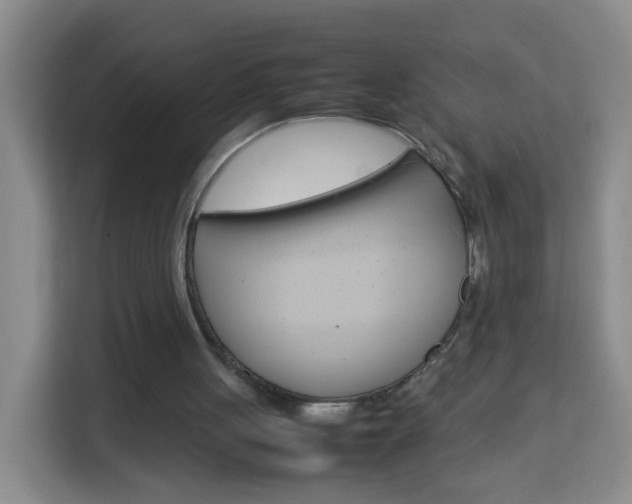 X0000114060051200910051003