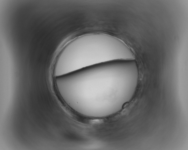 X0000114060053200910051003
