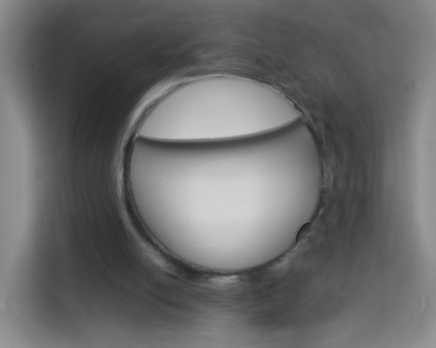 X0000114060054200910051003