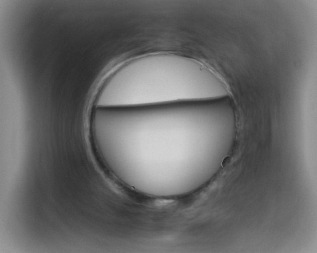 X0000114060055200910051003