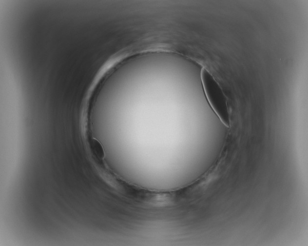 X0000114060056200910051003