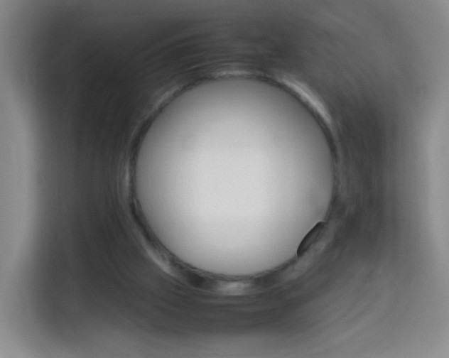 X0000114060057200910051003