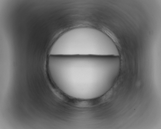 X0000114060058200910051003