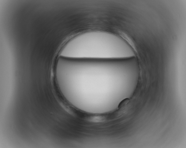 X0000114060059200910051003