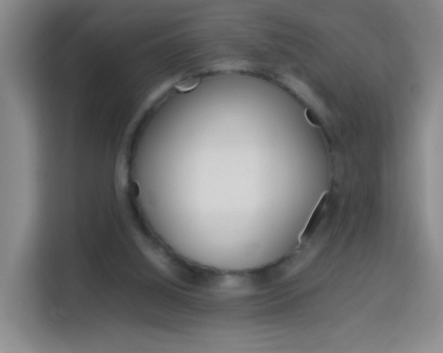 X0000114060060200910051003