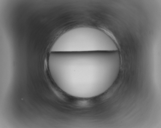 X0000114060061200910051004