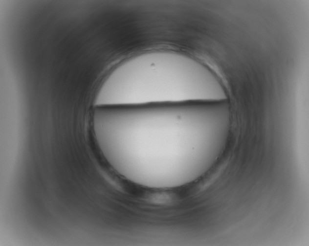 X0000114060063200910051004