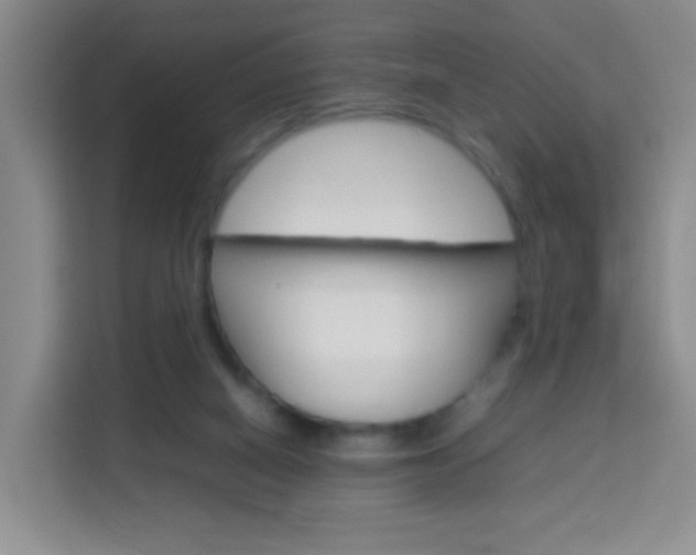 X0000114060066200910051004
