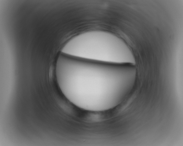 X0000114060071200910051004
