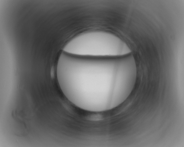 X0000114060075200910051004