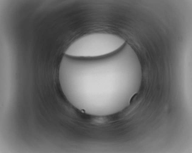 X0000114060079200910051004