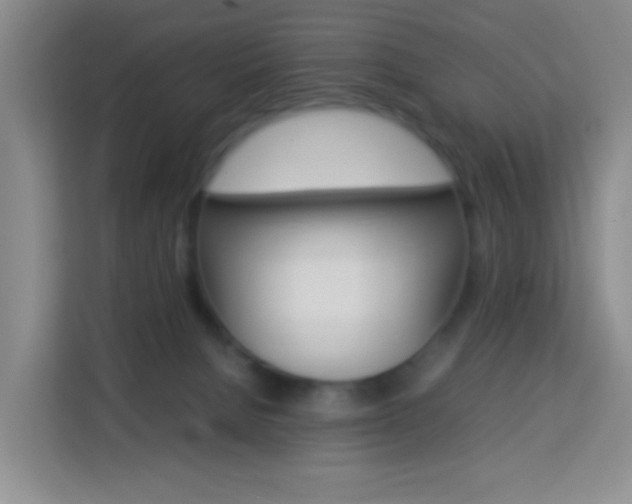 X0000114060080200910051004