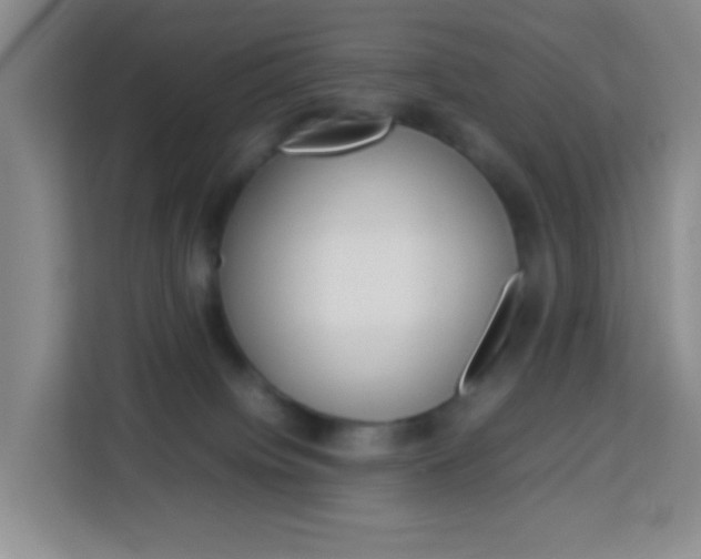 X0000114060084200910051004