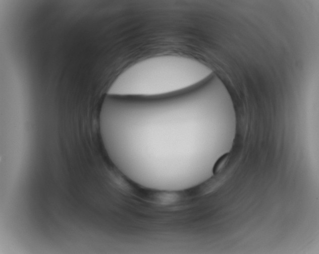 X0000114060085200910051004