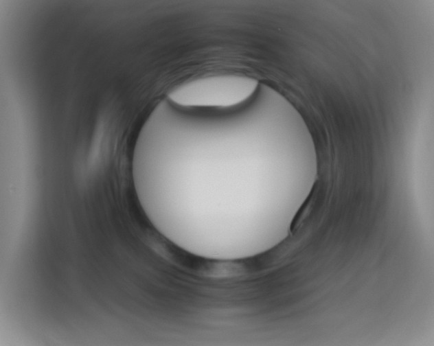 X0000114060087200910051004