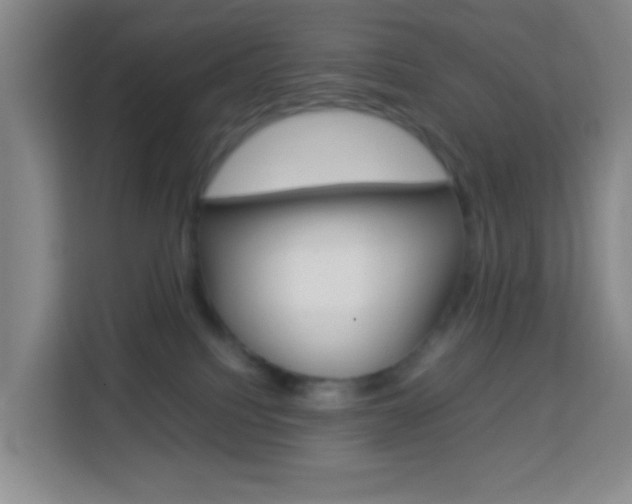 X0000114060088200910051004