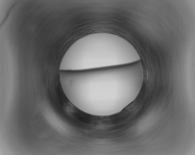 X0000114060095200910051004