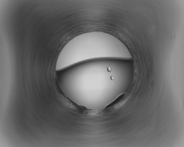 X0000114060096200910051004