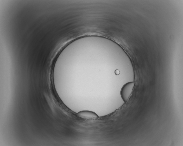 X0000114060098200910051003