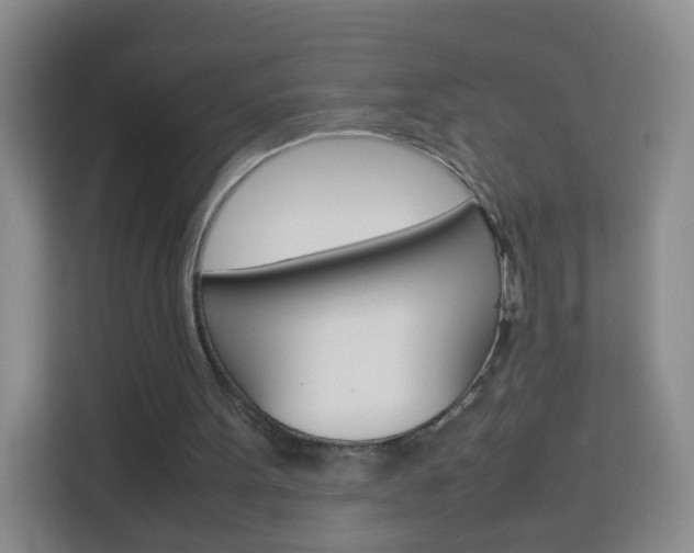 X0000114060099200910051003