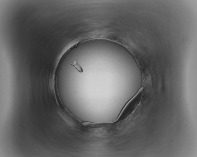 X0000114060100200910051003