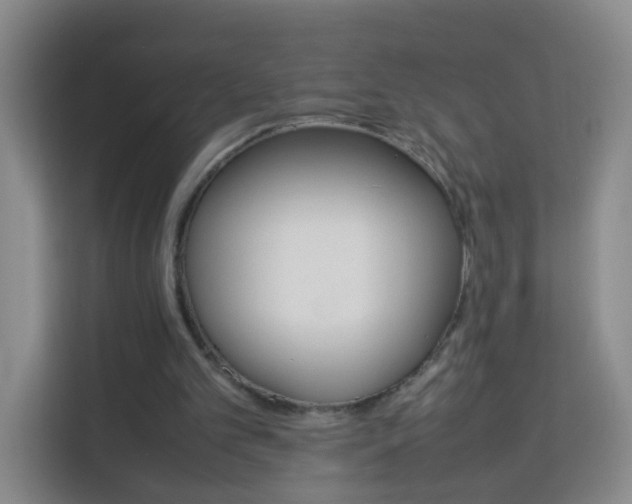 X0000114060101200910051003