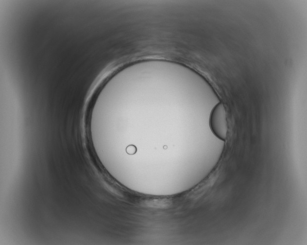 X0000114060102200910051003
