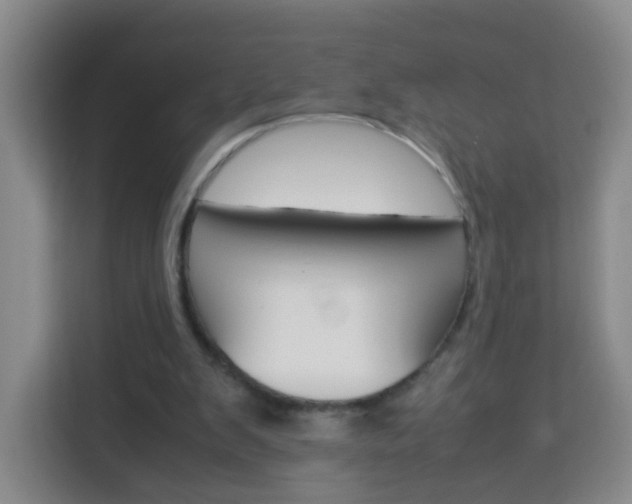 X0000114060103200910051003